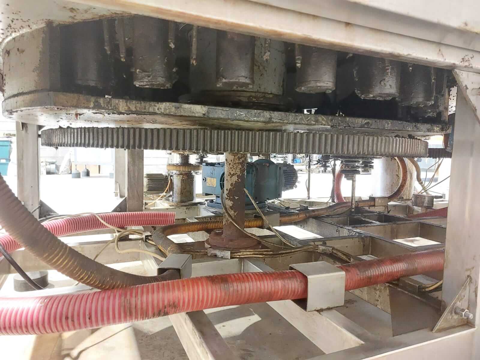 WhatsApp Image 2026-02-11 at 18.08.24 (2)