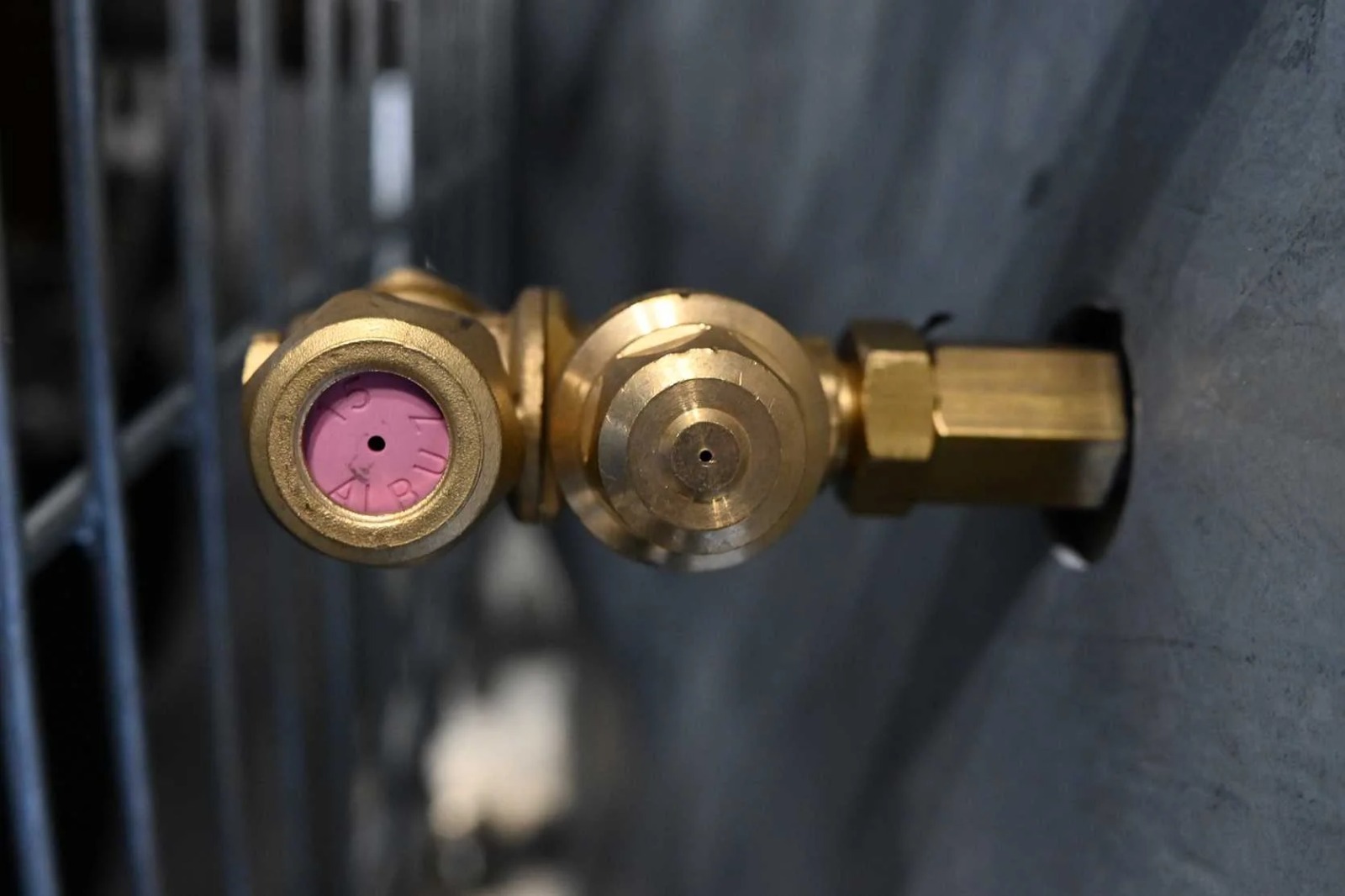 WhatsApp Image 2026-03-27 at 14.32.03 (10)